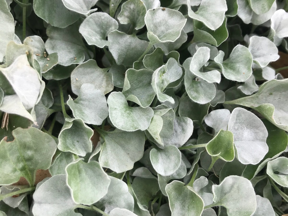 Stop watching the grass&nbsp;grow