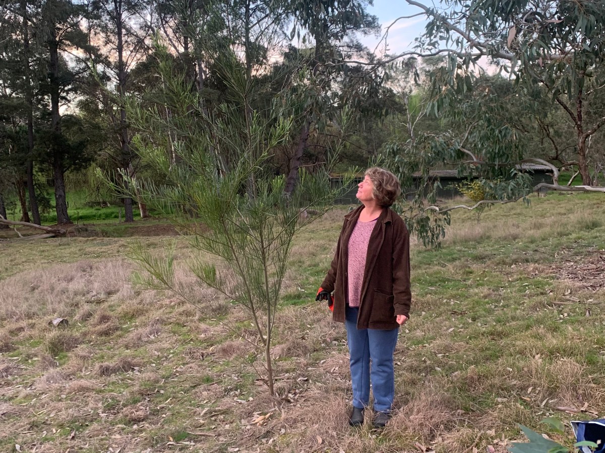 Becoming a conservationist in your own&nbsp;backyard